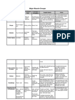 Major Muscle Groups: Major Muscle Group Location Functional Role Exercise To Strengthen Sample Stretch Notes