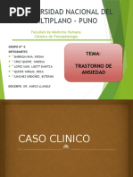 GRUPO N° 5. PSICOPATOLOGÍA - TRASTORNO DE ANSIEDAD