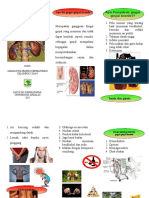 Leaflet CKD