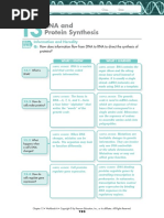 Download Ch 13 RNA and Protein Synthesis by Hannah SN295363919 doc pdf