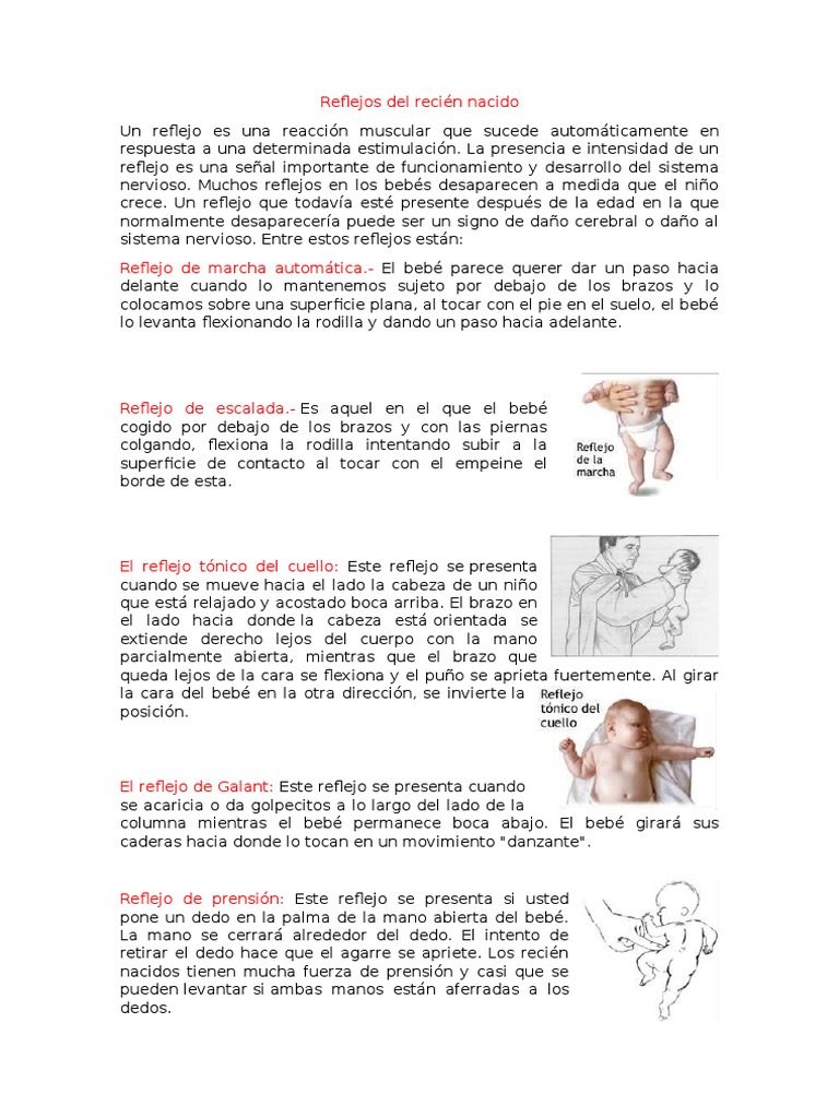 Reflejos Del Recién Nacido | PDF | Infantes | Heces