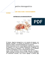 Sistema Digestivo Monogastrico.docx