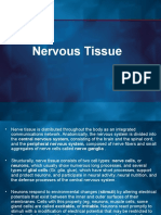 10. Nevous Tissue