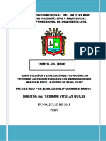Perfil Corregidovitulas 2 PDF
