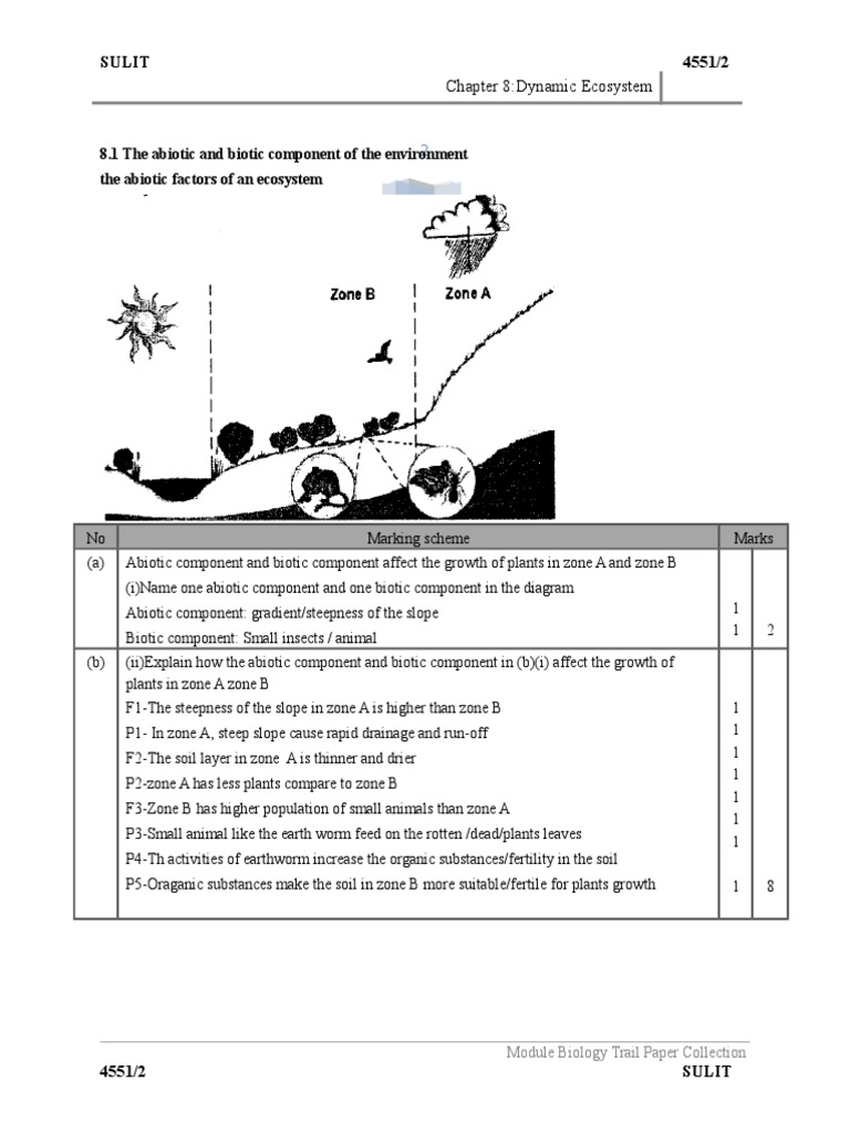 Homework assignment gone viral