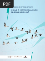 Comportamento Organizacional Ua-1