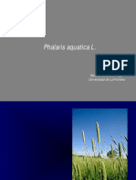 16 - Falaris PDF