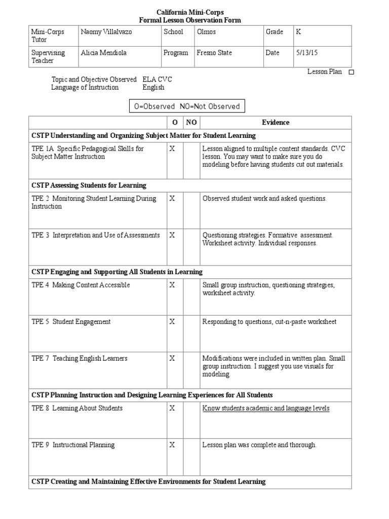 Mini-Corps Lesson Observation Report | PDF