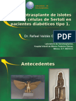 Xenotrasplante de Islotes Pancreaticos y Cel de Sertoli de Porcino DR Rafael Valdes
