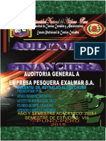 Auditoria Financiera Del Sector Pesquera S.A.A. Final