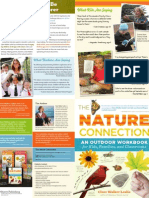 The Nature Connection - Brochure