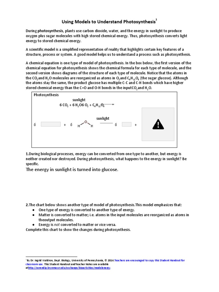 Photosynthesissho 0 Madisonmacdonald Pdf Photosynthesis Cellular Respiration