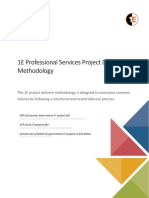 1E Professional Services Project Delivery Methodology