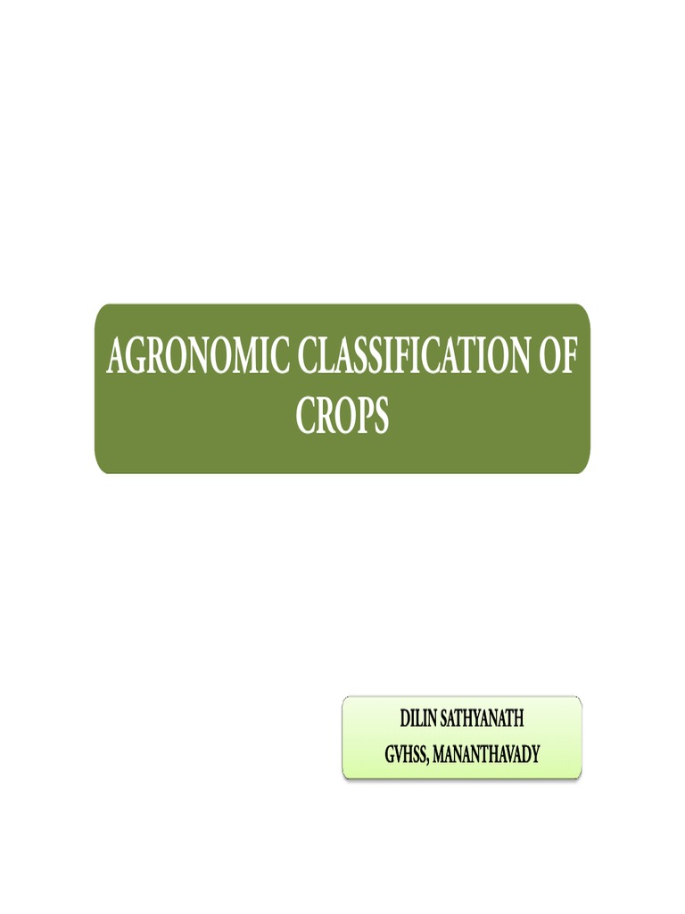 Agronomic Crop Classification Guide | PDF