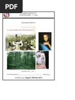 Cavaleiro Da Dinamarca