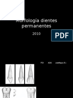 anatomiadentariapermanentes1-100927223507-phpapp01.ppt