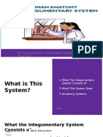 The Integumentary System