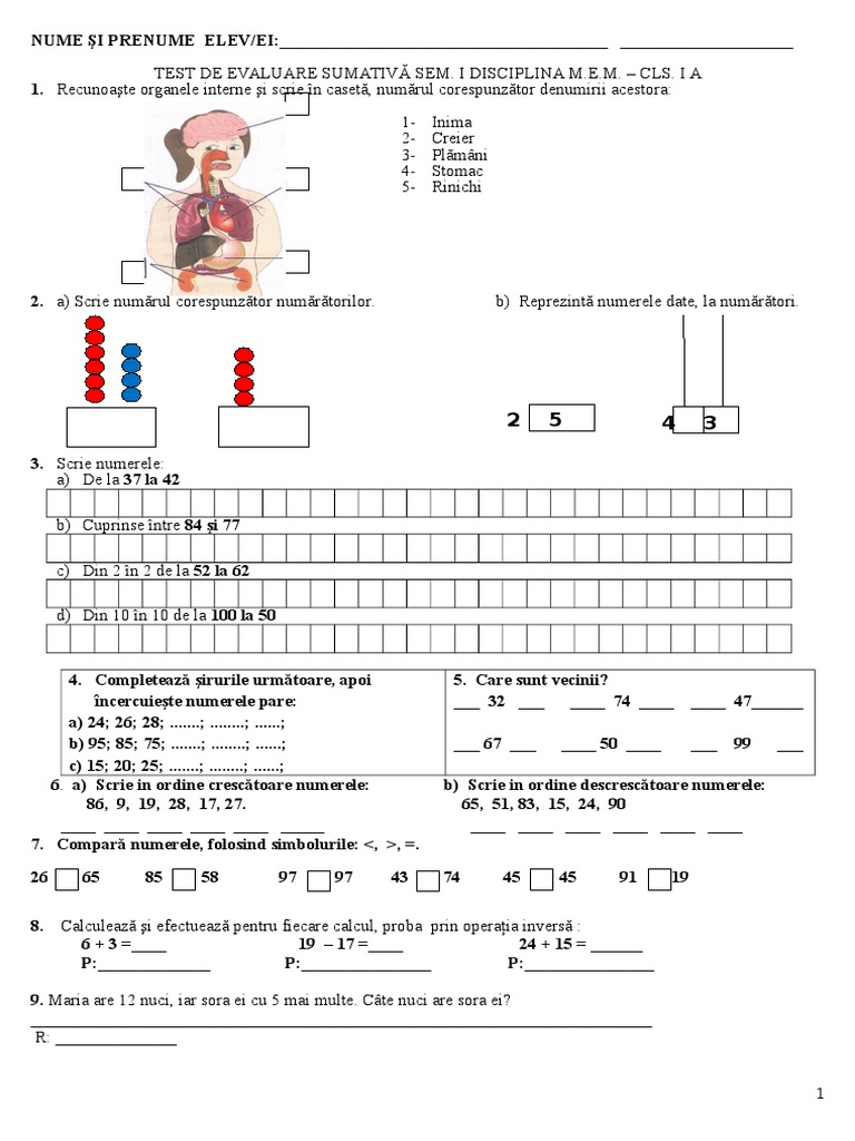 Test De Evaluare Sumativa Sem I Cls I