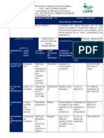 formato-diario-5