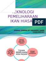 Ikan Hiasan RBT Sem 6