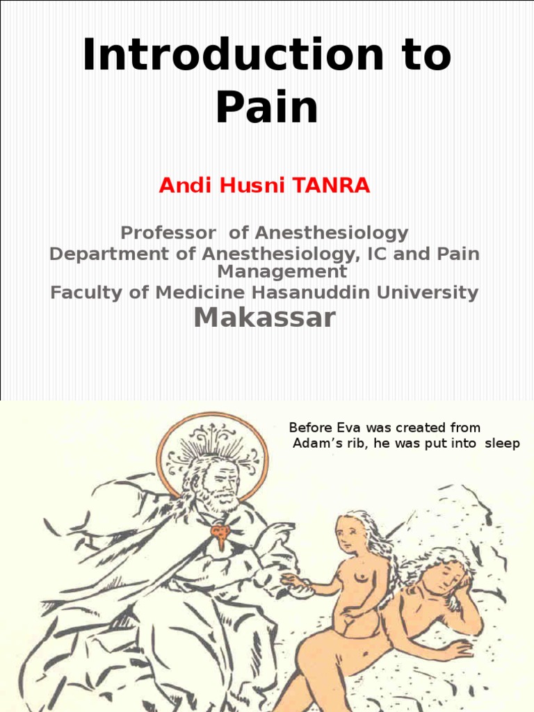 Introduction To Pain: Makassar | PDF | Pain | Neuropsychological Assessment