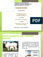 Diapositivas GANADO BOVINO