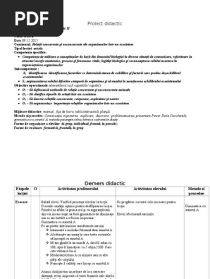 Proiect Didactic Relatii Concurente