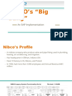 Nibco's-Big Bang Sap Implemetation