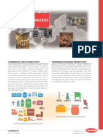 Production Process: Commercial Yeast Production Commercial Bacteria Production