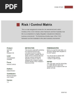 Risk Control Matrix Coso Framework - Casestudy