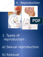 Chapter 4 Reproduction