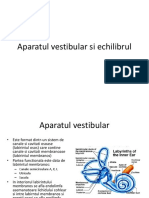 Cursul V Aparatul Vestibular