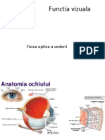 Cursul VI Analizatorul Vizual