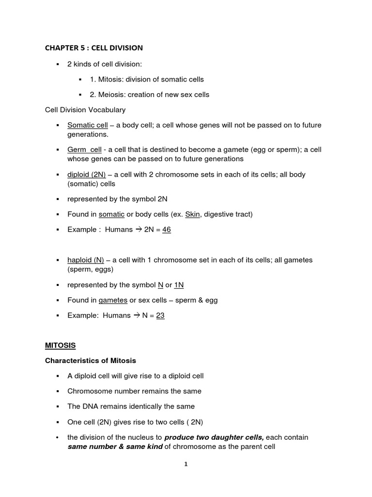 Chapter 5 Bio f4 | PDF | Meiosis | Ploidy