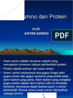 Asam Amino Dan Protein