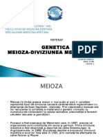 Meioza - Diviziunea Meiotica