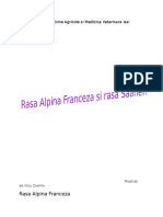 Rasa Alpina Franceza Si Saanen