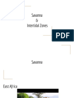 Advanced Bio Savanna Intertidal Zone