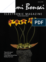 Origami Bonsai Electronic Magazine Beyond the Square Vol 2 Iss 3