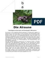 Die Alraune