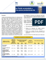 Final8LL_Opciones de Mejora Del Flujo en Pozos de Gas