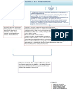 Mapa de Caja