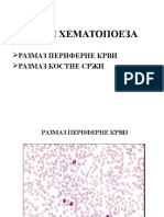 Vezba-krv i Hematcopoeza