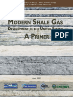 Shale Gas Primer 2009