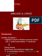 Pankreatitis Akut: Amilase dan Lipase