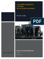 2013 10 Caillet PDF