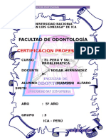 Certificación Profesional en Odontologia