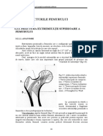 34659147-Curs-Locomotor-Sem-II.pdf