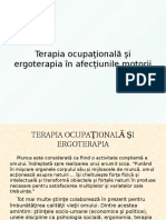 Terapia Ocupaţională Şi Ergoterapia În Afecţiunile Motorii