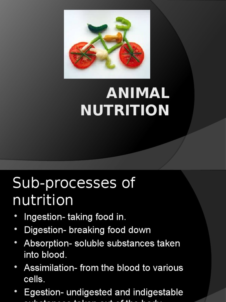 animal nutrition | Human Digestive System | Digestion